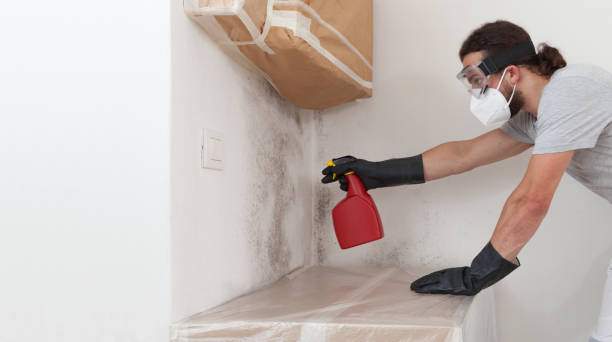 Professional Bathroom Mold Removal technician working in Budd Lake, NJ